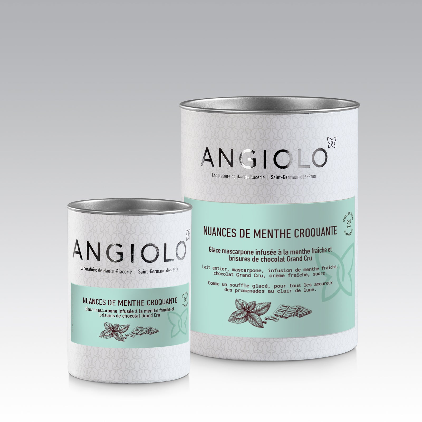 Deux pots de glace menthe chocolat Angiolo. Meilleure glace menthe chocolat,. Glace After Eight. Best Mint and Chocolate Ice cream. Best Mint Gelato Paris