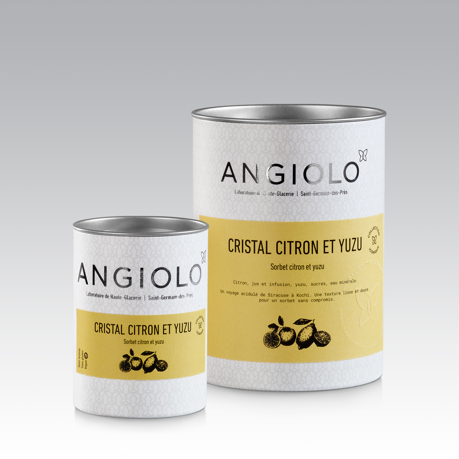 Meilleur Sorbet Citron Paris Best Gelato al Limone Paris Best Lemon Ice cream