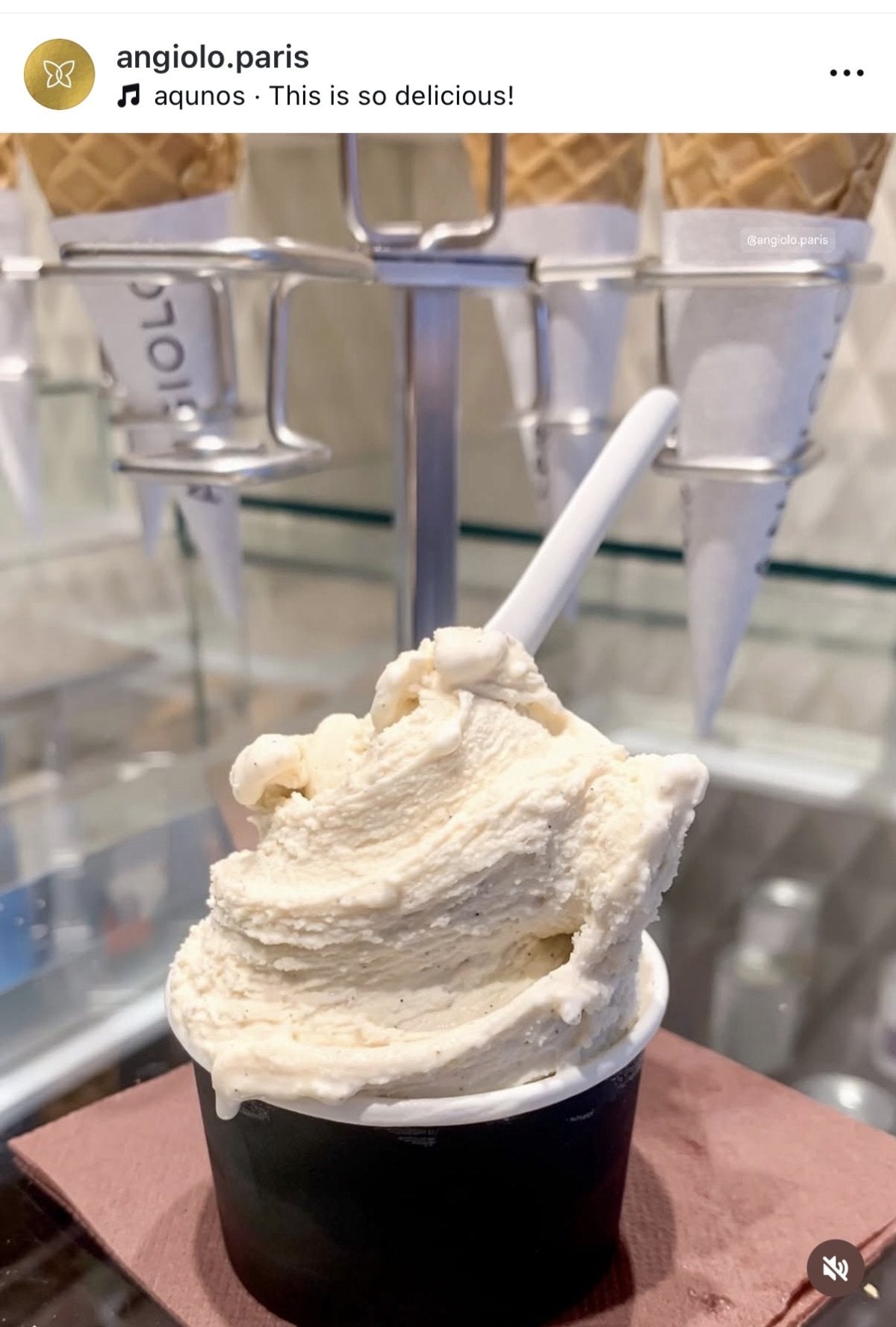 Différence entre glace industrielle et artisanale : Le guide de l'excellence glacée
